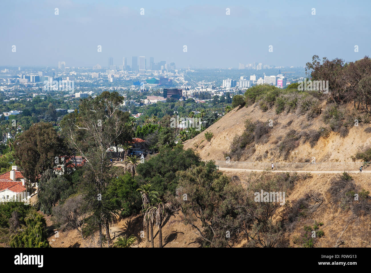 Vista del naturale in montagna, Los Angeles Runyon Canyon Park, California Foto Stock