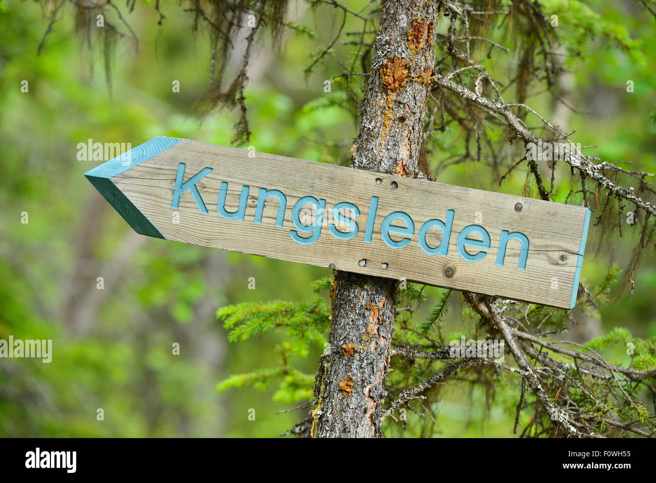 Segno posto per il re&#39;s Trail Hiking trail, Kvikkjokk, maggiore Laponia Area Rewilding, Lapponia, Norrbotten, Svezia, giugno 2013. Foto Stock