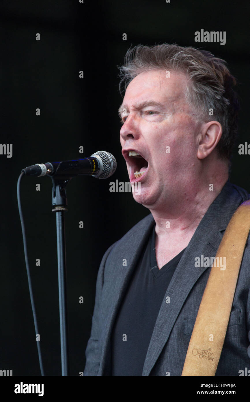 Glanusk Park vicino a Brecon Galles, 21 agosto 2015. Il primo giorno dell'uomo verde music festival in Brecon Beacons Montagne in Galles. La folla era per schivare le frequenti tempeste di pioggia durante tutta la giornata. Nella foto: Tom Robinson in il giardino murato. Credito: Rob Watkins/Alamy Live News Team Foto Stock