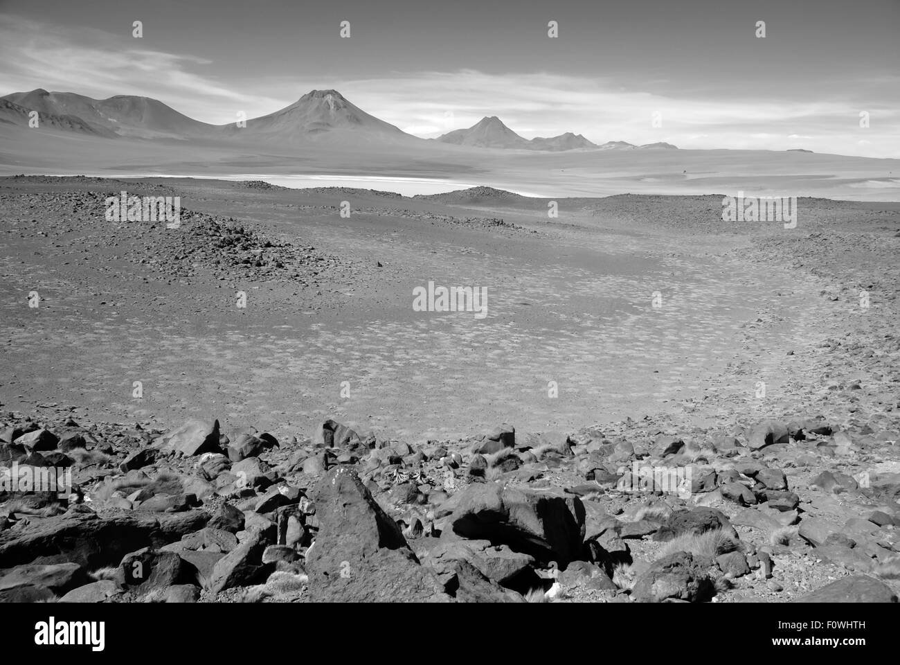 Paesaggio vulcanico e deserto ad alta quota nell'altipiano della Bolivia Foto Stock