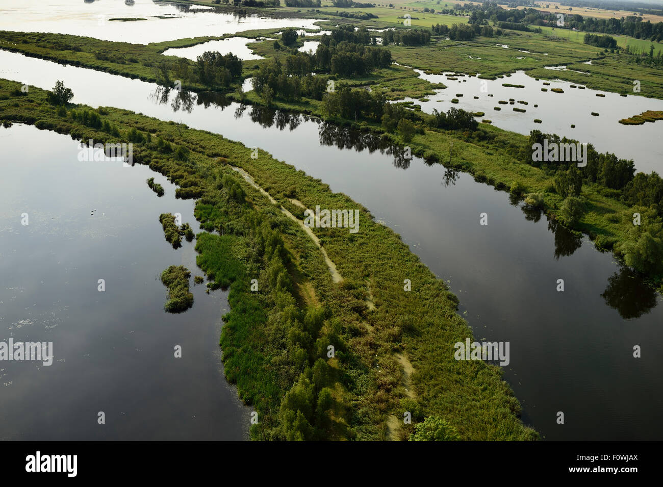 Fiume Peene e superfici inondate vicino Anklamer Stadtbruch, Anklam, Germania, Agosto 2014. Foto Stock