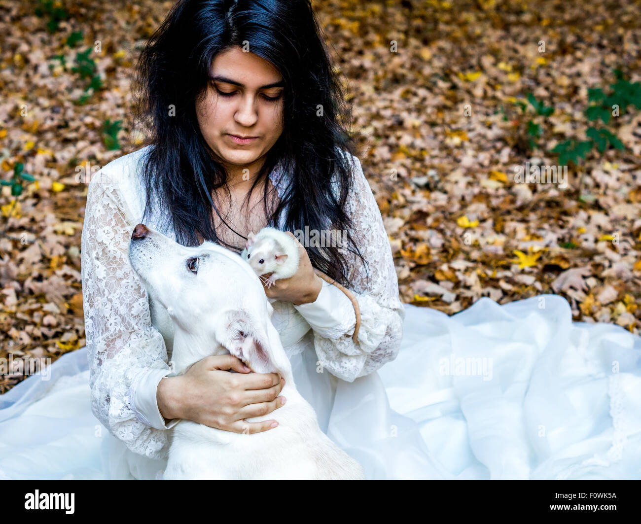 Latina ragazza adolescente con il suo cane e rat Foto Stock