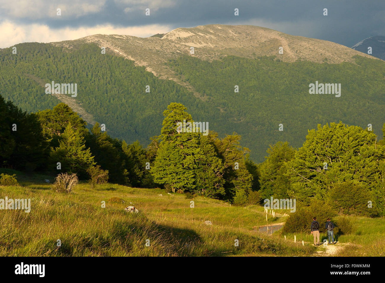 Gli escursionisti in Appennino Centrale rewilding area Parco Nazionale d'Abruzzo Lazio e Molise, Italia, Giugno 2014. Foto Stock