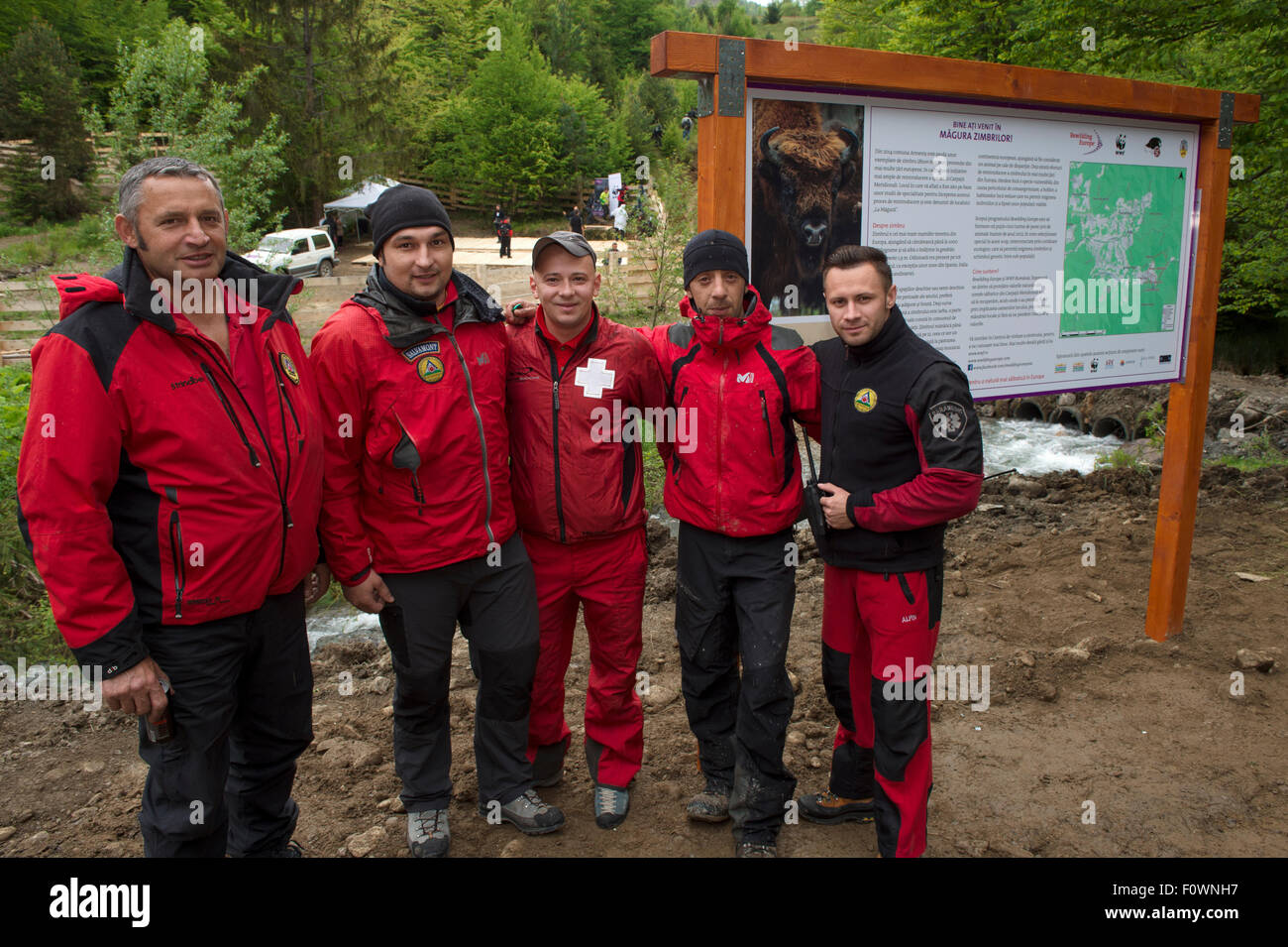 Mountain Rescue team presso il sito di rilascio di bisonte europeo / Wisent (Bison bonasus) nella montagna Tarcu riserva naturale. Natura 2000 area, Carpazi Meridionali, Romania. Maggio 2014. Foto Stock