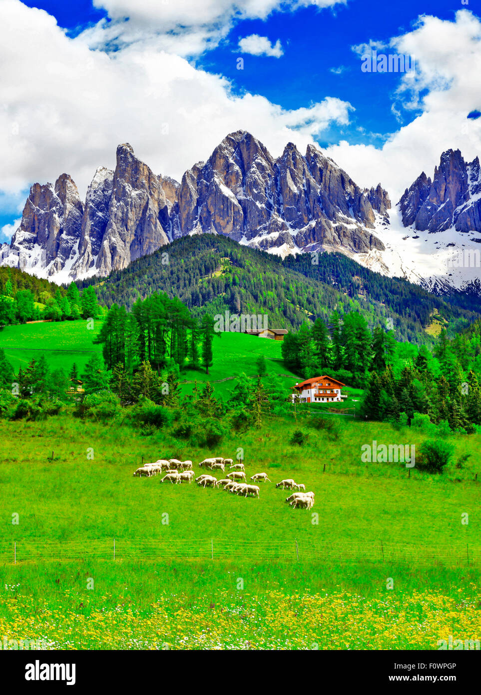 Natura incredibile in dolomiti,vista panoramica,Italia Foto Stock