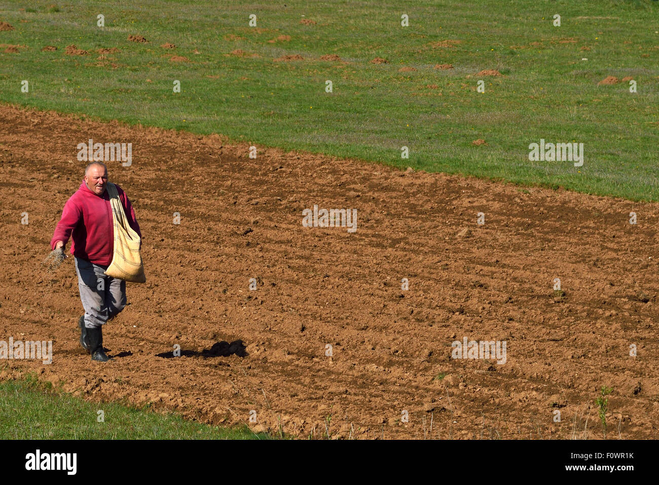 Agricoltore la semina di semi a mano, le montagne di Velebit parco naturale, Croazia, aprile 2014. Foto Stock
