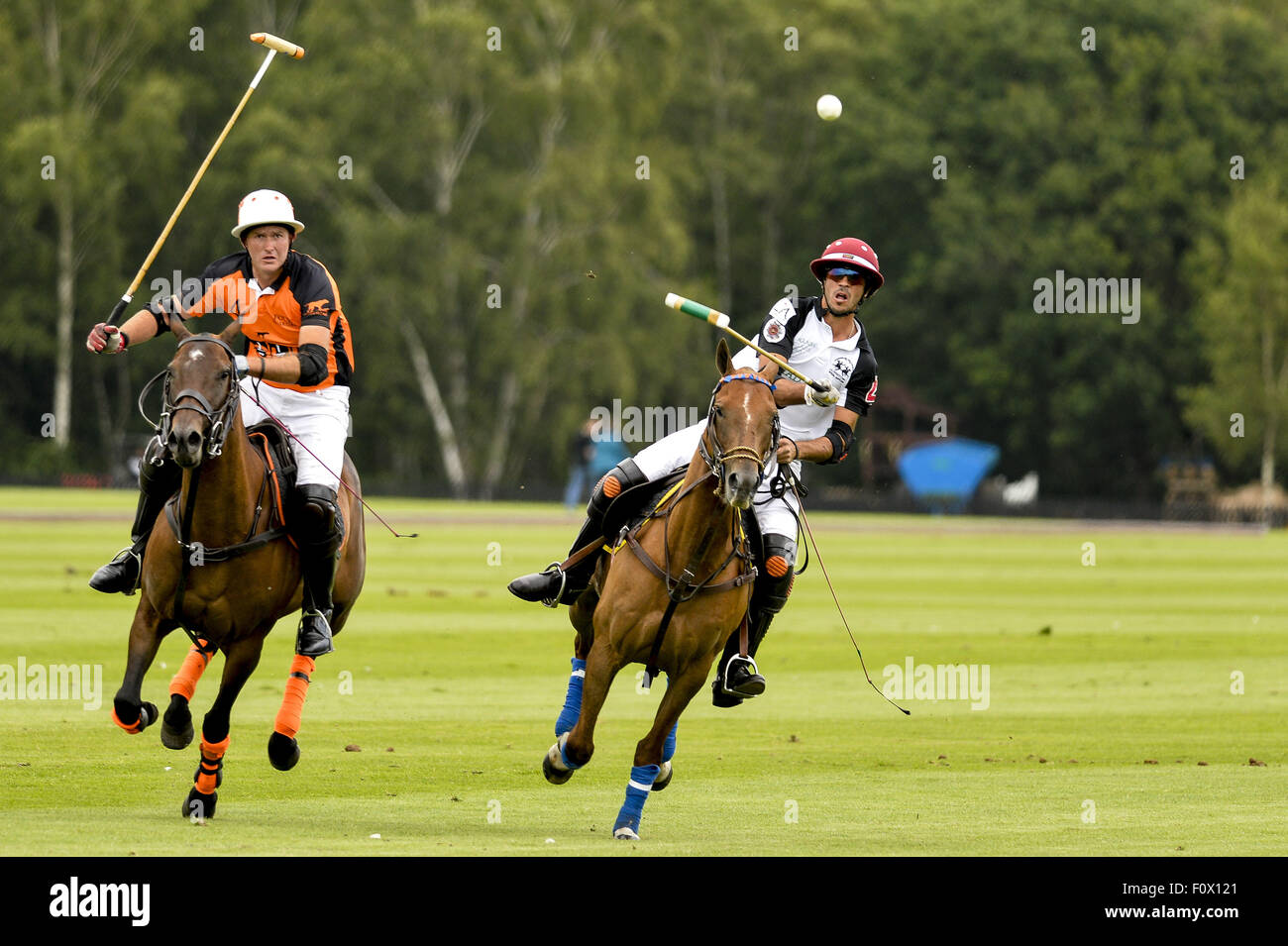 Quattro quarti Orange giocare Mad Dogs nel Sub finale del Mountbatten Cup al Guards Polo Club con: quattro trimestri arancione, Mad Dogs dove: Londra, Regno Unito quando: 21 Giu 2015 Foto Stock