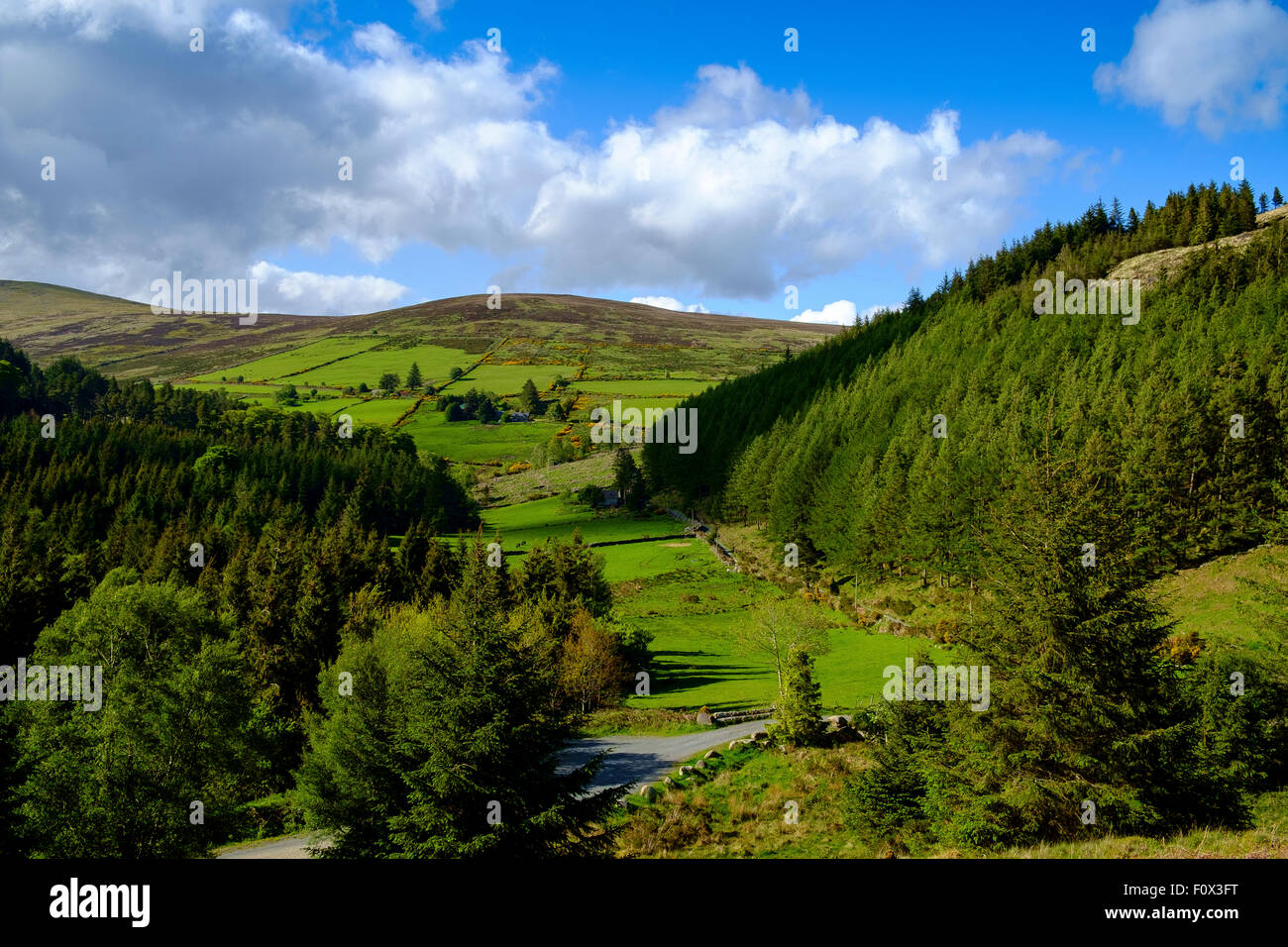 Campagna irlandese Irlanda farmland verdi campi regno unito Foto Stock