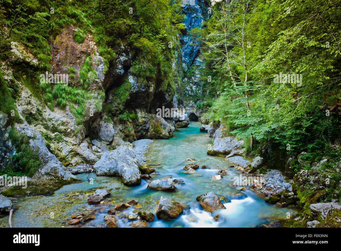 Immagine del fiume Isonzo in Slovenija. Il fiume è konwn come il fiume smeraldo, grazie alle sue splendide acque chiare t Foto Stock
