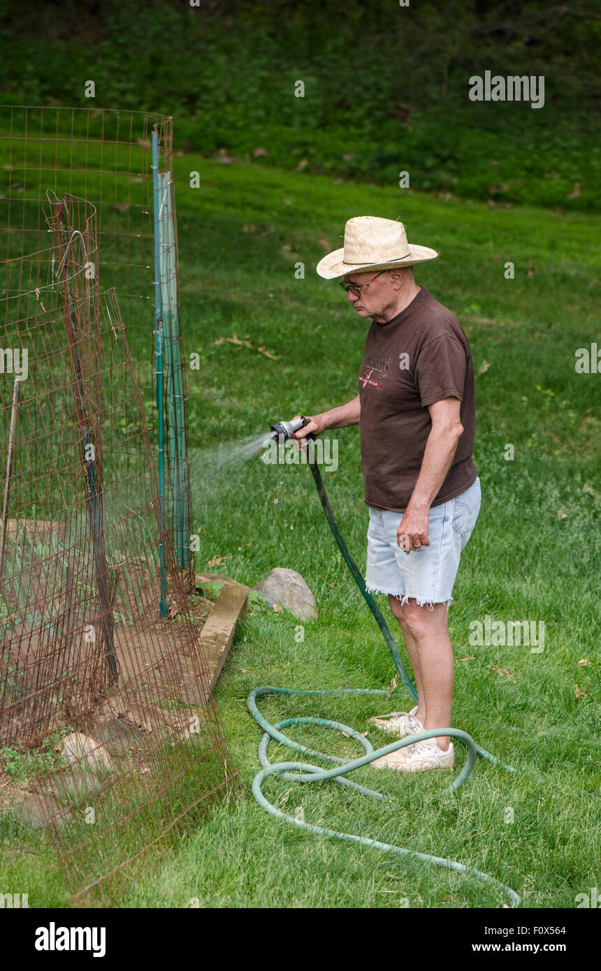 Un uomo anziano con il cappello di irrigazione trama vegetale nel giardino di casa. Stati Uniti d'America. Foto Stock