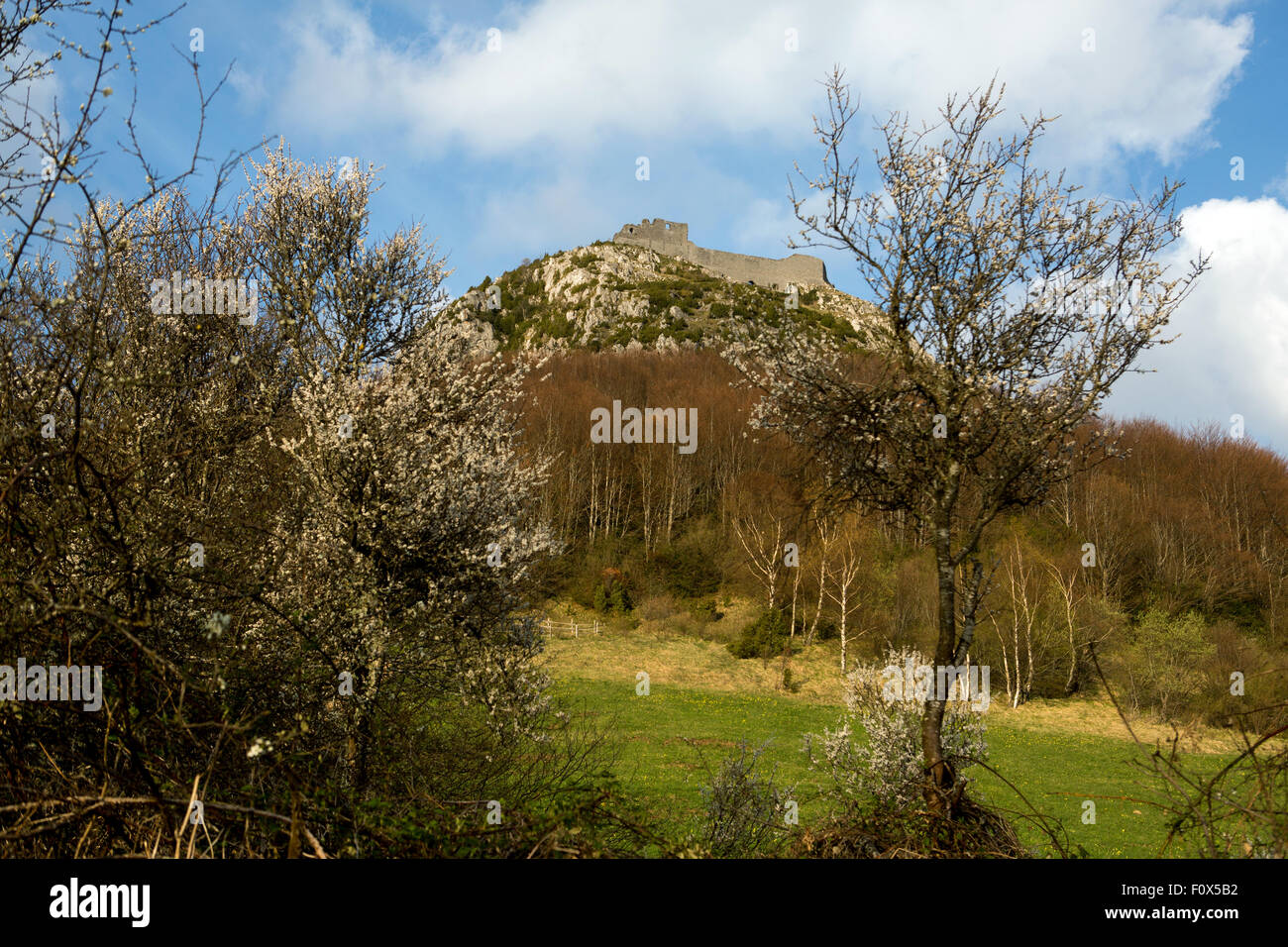 Il castello di Montsegur e montagna in Pirenei francesi Foto Stock