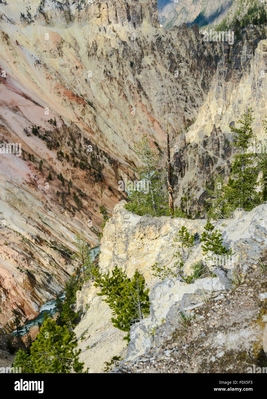 Grand Canyon paesaggio verticale con multicolore di rocce e alberi verdi, il Parco Nazionale di Yellowstone ,Wyoming, STATI UNITI D'AMERICA Foto Stock