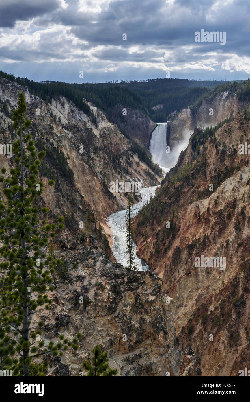 Vista superiore del Grand Canyon, Yellowstone National Pa, Wyoming USA Foto Stock