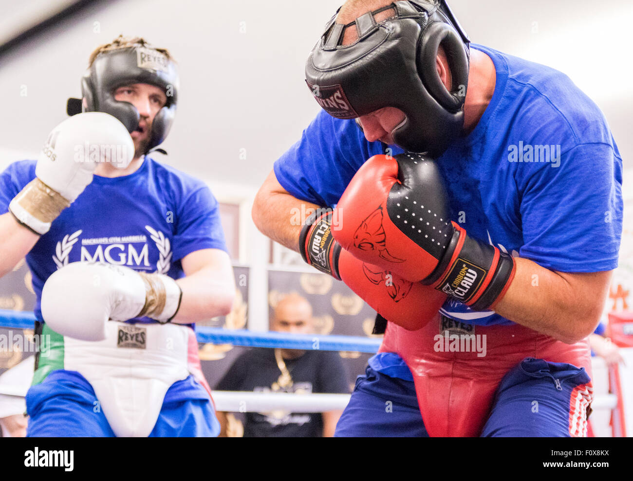 Edinburgh, Regno Unito; 22 agosto 2015; MGM Scozia Boxing formazione pubblica; Brian Forsyth e Tommy Philbin risparmiarsi; MGM Scozia Boxing Formazione pubblica presso la struttura Lochend Amateur Boxing Club; Mark Ingram/Alamy Live News Foto Stock