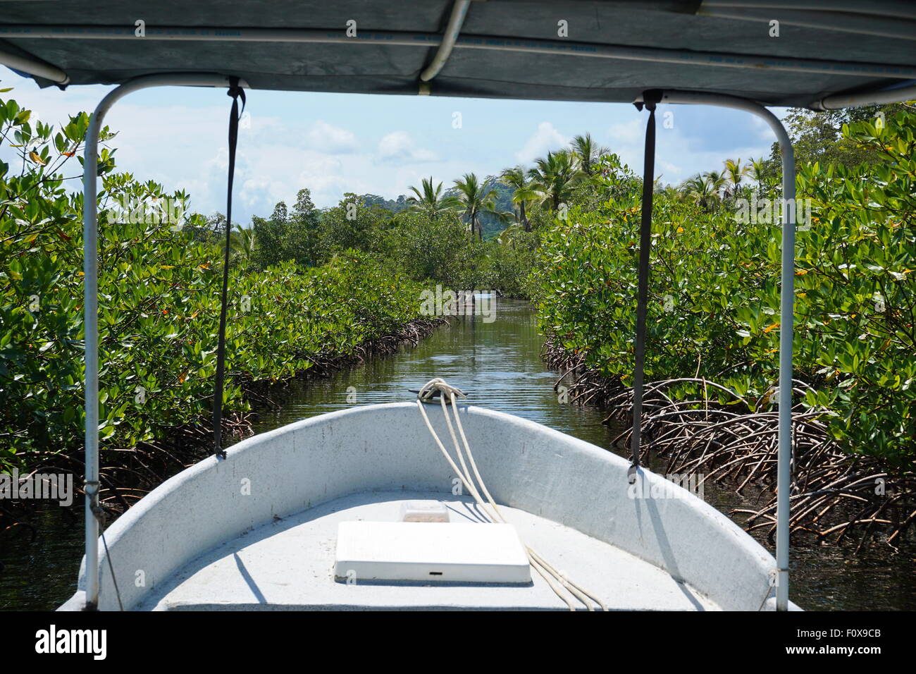 Imbarcazione attraverso un piccolo taglio nelle mangrovie, arcipelago di Bocas del Toro, Mar dei Caraibi, Panama America Centrale Foto Stock