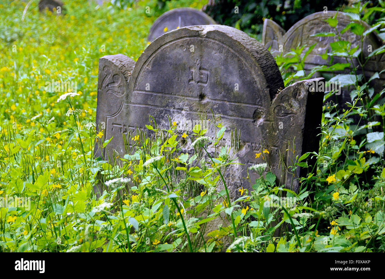 Vecchie lapidi coperte di muschio al Cimitero Ebraico a Varsavia in Polonia. Foto Stock