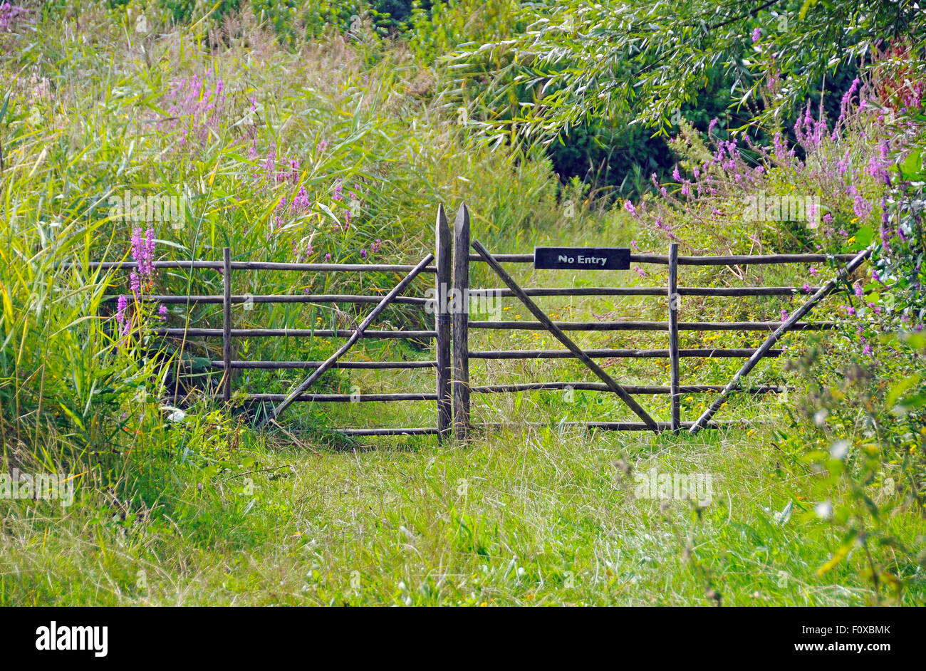 Cancello di legno a prato in London Wetland Centre, Inghilterra Foto Stock