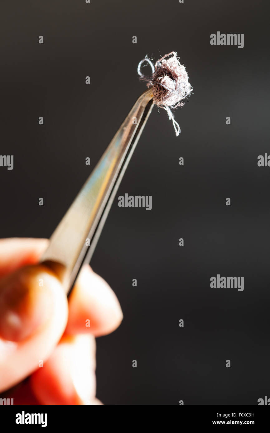 Esperimento per determinare la composizione del tessuto - campione di fibre tessili sulla sommità di pinzette close up Foto Stock