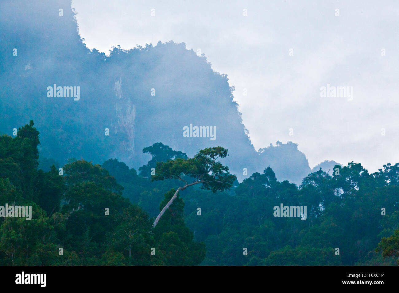 Formazioni carsiche crea un bellissimo paesaggio intorno CHEOW EN lago in Khao Sok NATIONAL PARK - Tailandia Foto Stock