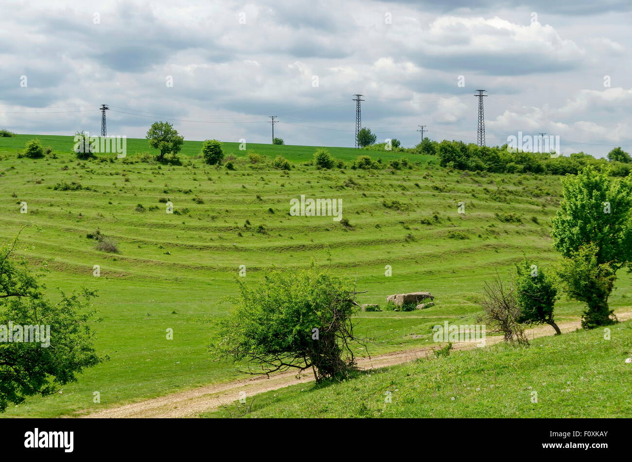 Campo di prato da Zavet area cittadina, Bulgaria Foto Stock