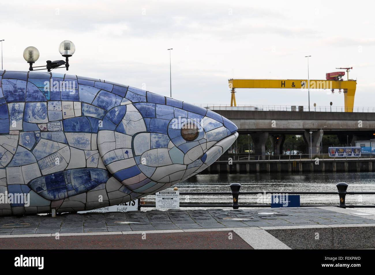Bigfish, Belfast, Irlanda del Nord, Regno Unito, Europa Foto Stock