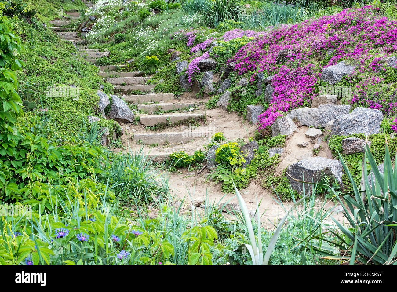 Gradini in pietra circondato da bellissimi fiori e vegetazione verde. Foto Stock