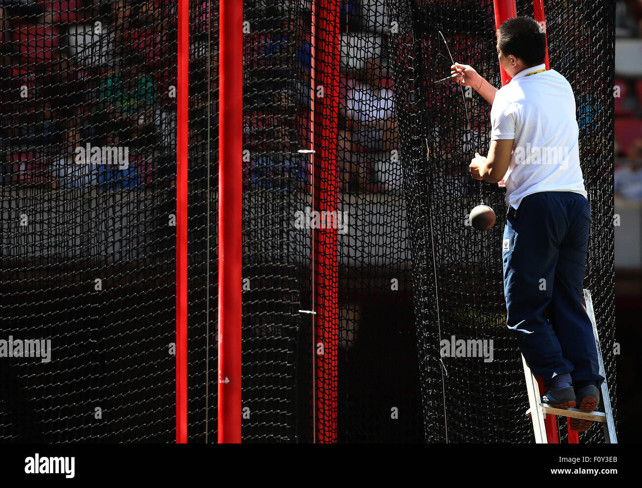 Pechino, Cina. Il 22 agosto, 2015. Un funzionario rimuove un martello dalla gabbia durante il lancio del martello uomini Qualifikation durante il XV Associazione Internazionale delle Federazioni di Atletica (IAAF) Atletica Campionati del Mondo a Pechino in Cina, 22 agosto 2015. Foto: Christian Charisius/dpa/Alamy Live News Foto Stock