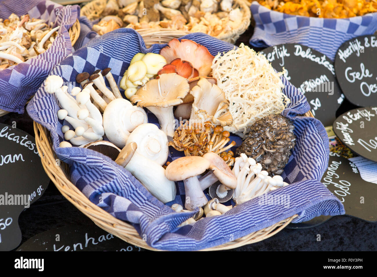 I funghi per la vendita sul mercato dei Paesi Bassi Foto Stock