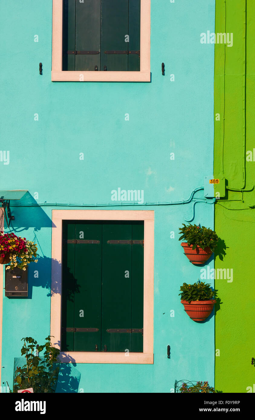 Piante pendenti sulla colorata casa dipinta di Burano Laguna di Venezia Veneto Italia Europa Foto Stock