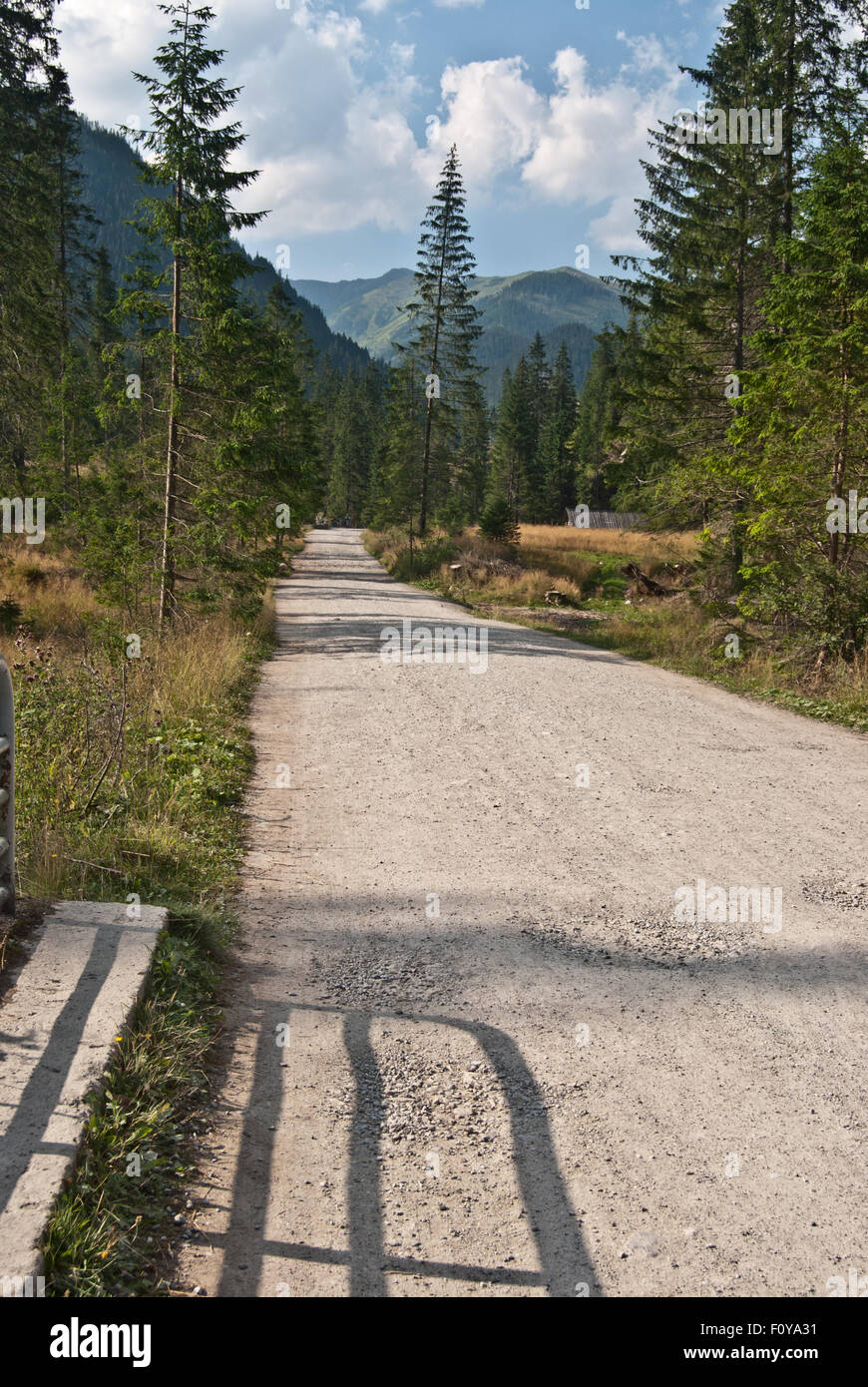 Dolina Chocholowska valle in Tatry montagne con la strada e il picco sullo sfondo Foto Stock