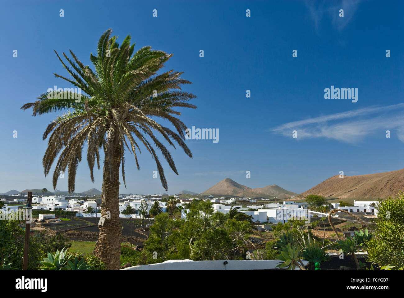 Agriturismo Lanzarote Finca giardino con palme e tipico villaggio bianco e vulcani di Lanzarote dietro a Isole Canarie Foto Stock