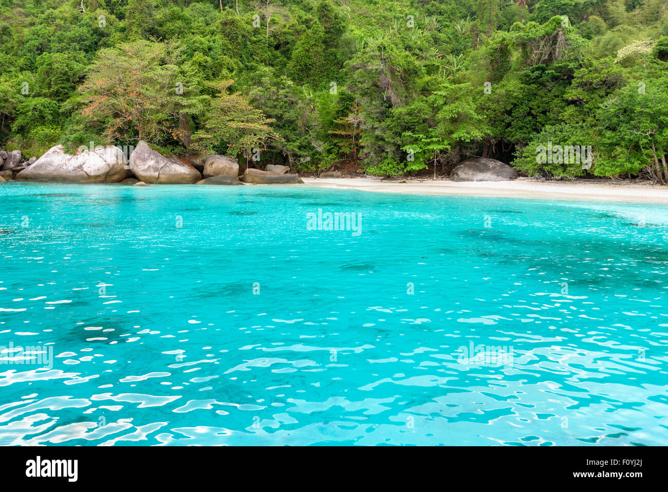 Bella e verde mare blu davanti alla piccola spiaggia di Baia di luna di miele è un famoso attrazioni per immersioni su Ko Miang isola di Koh Similan Foto Stock