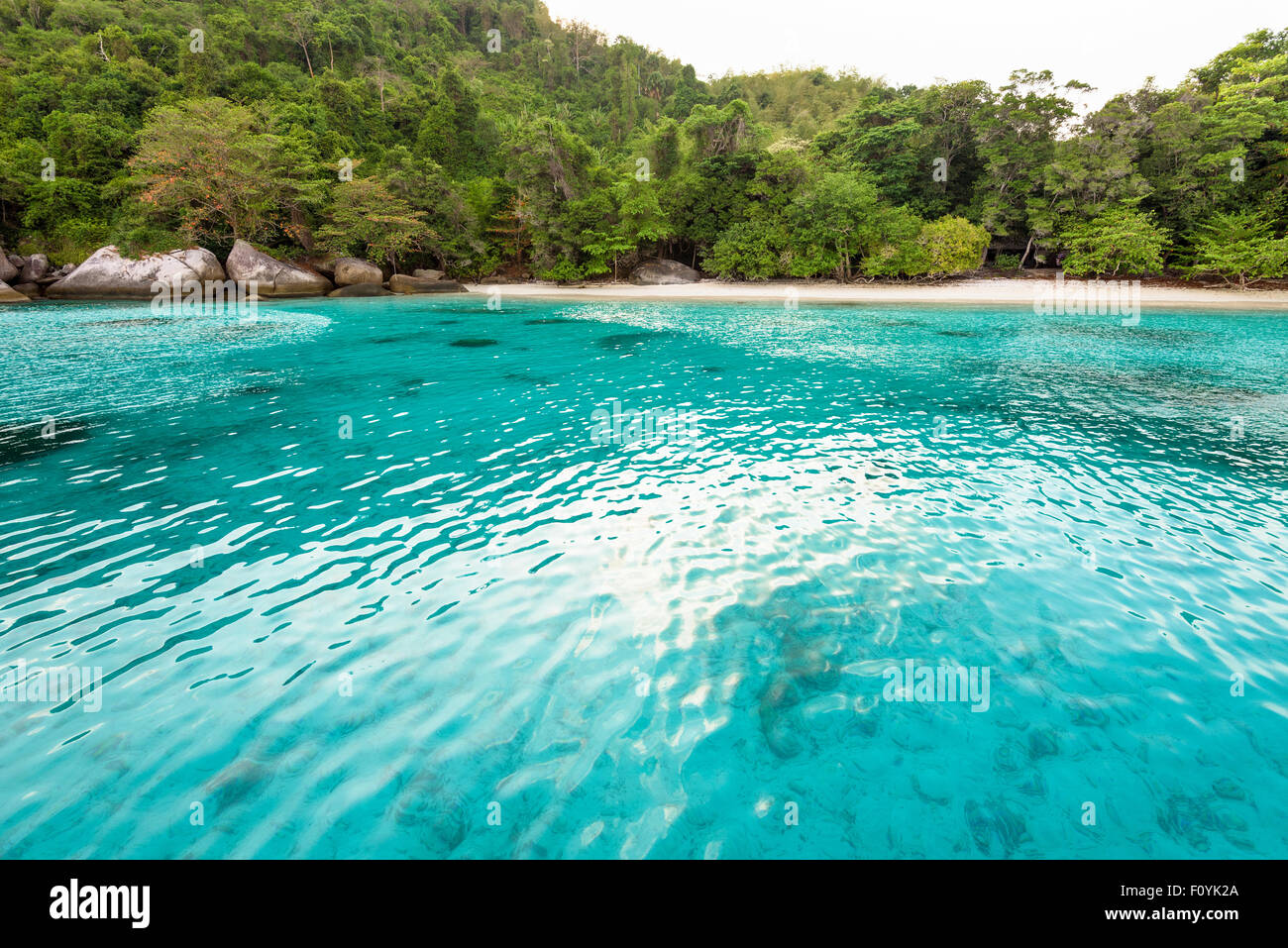 Bella e verde mare blu davanti alla piccola spiaggia di Baia di luna di miele è un famoso attrazioni per immersioni su Ko Miang isola di Ko Similan Foto Stock