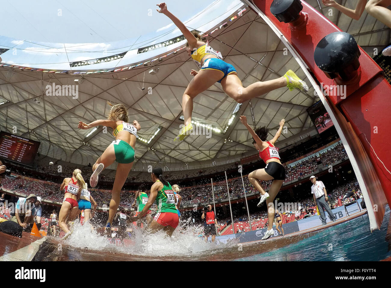 Pechino, Cina. 24 Ago, 2015. Gli atleti competere nelle manche delle donne del 3.000 metri siepi presso la IAAF 2015 Campionati del mondo presso il "nido" dello Stadio Nazionale di Pechino, capitale della Cina, 24 agosto 2015. Credito: Li Ming/Xinhua/Alamy Live News Foto Stock