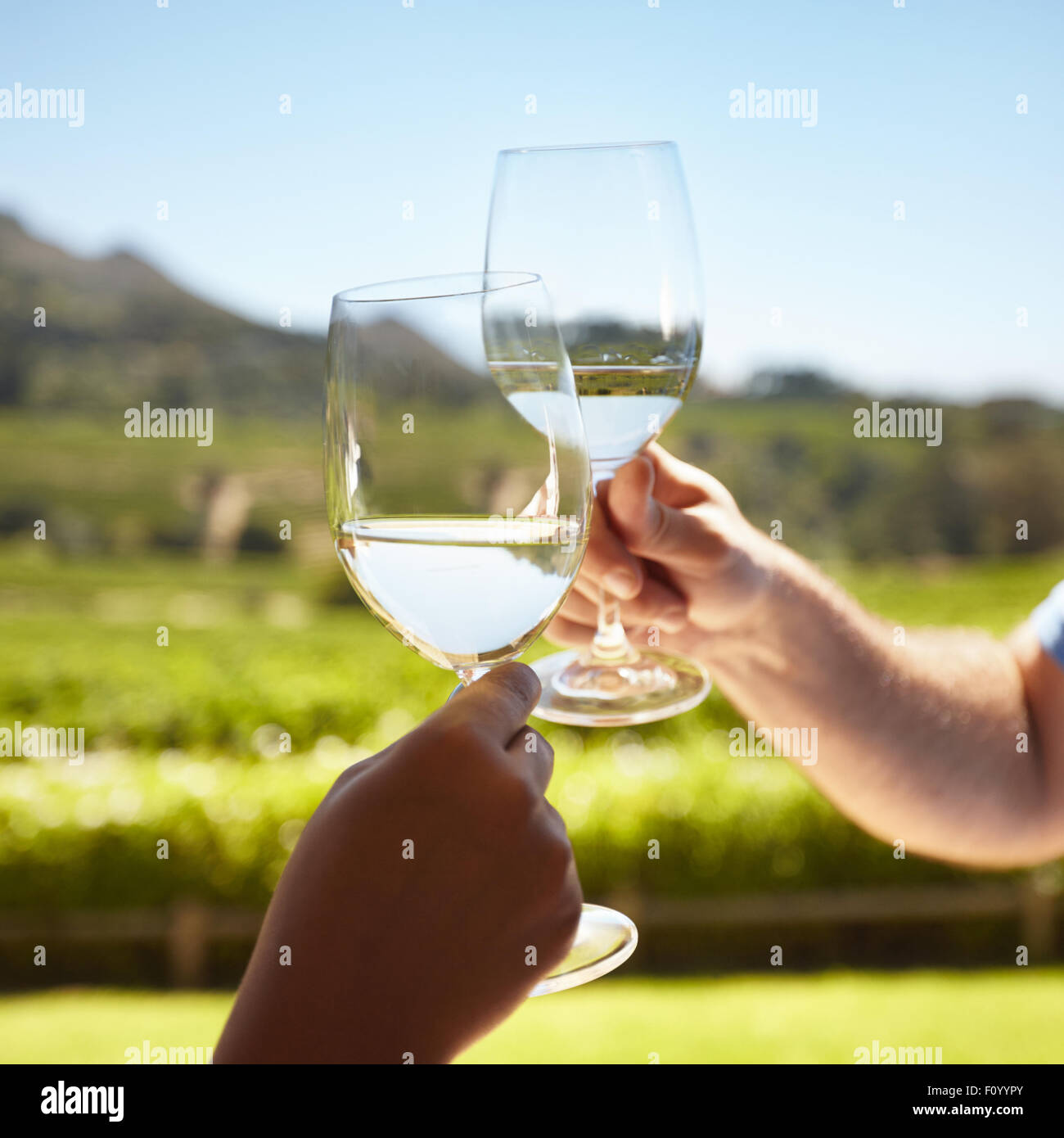 Stretta di mano del vino di tostatura all'esterno. Celebrando con vino bianco con vigneto in background. Foto Stock
