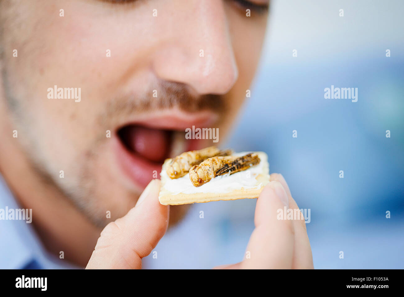 L'uomo mangia insetti Foto Stock