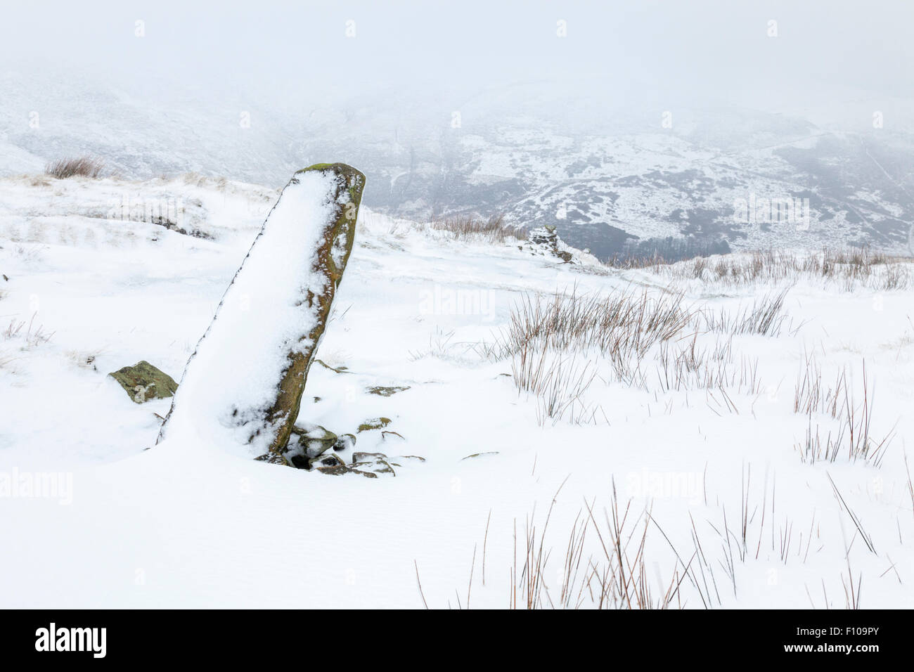 Il Peak District neve invernale scena, Grindslow Knoll, Kinder Scout, Derbyshire, Parco Nazionale di Peak District, England, Regno Unito Foto Stock