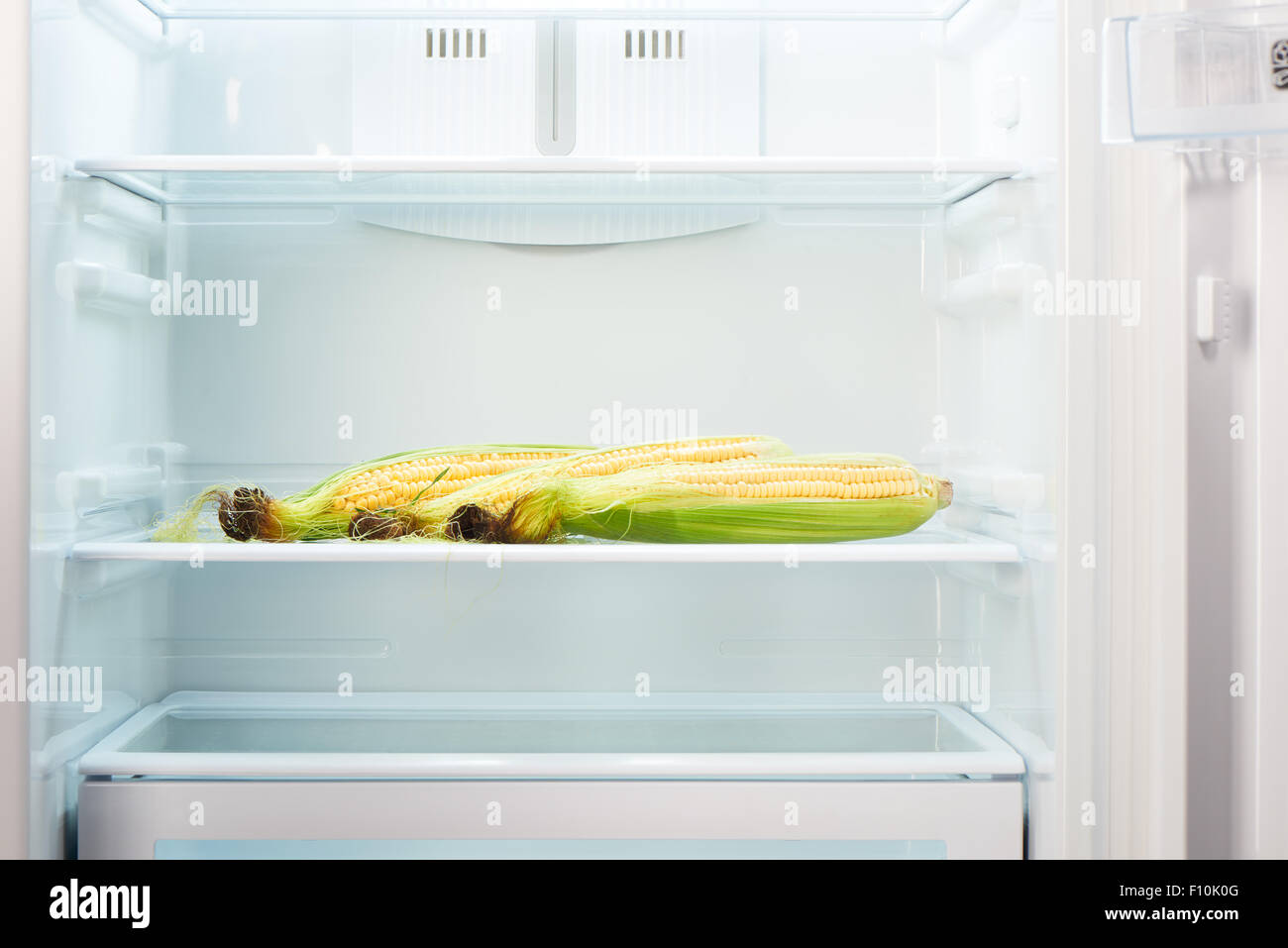 Tre spighe di grano sul ripiano di aprire un frigorifero vuoto. Perdita di peso la dieta concetto. Foto Stock