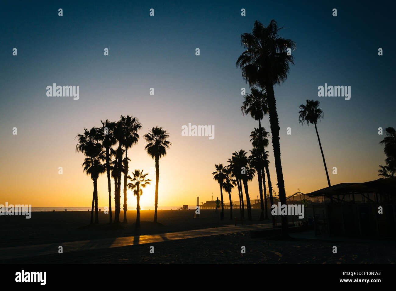 Palme sulla spiaggia al tramonto a Santa Monica, California. Foto Stock