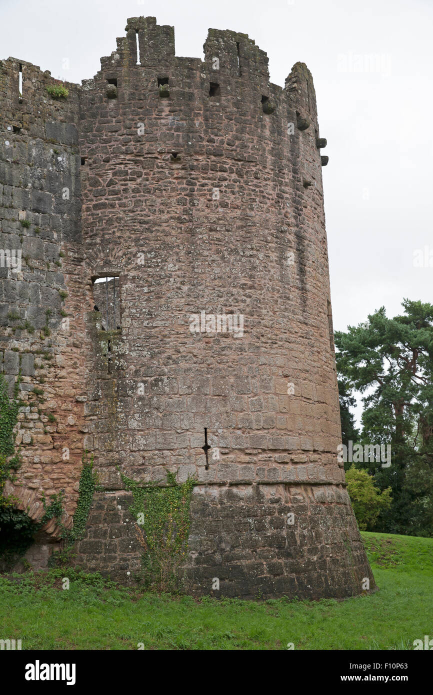 Caldicot Castle è un restaurato castello normanno con pavimenti in legno e un country park con kids' eventi, shop e sala da tè. Foto Stock