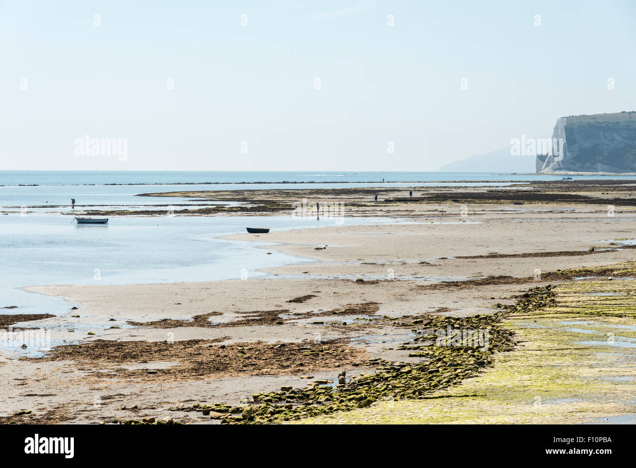 La riva del mare con la bassa marea a Bembridge Isle of Wight REGNO UNITO Foto Stock