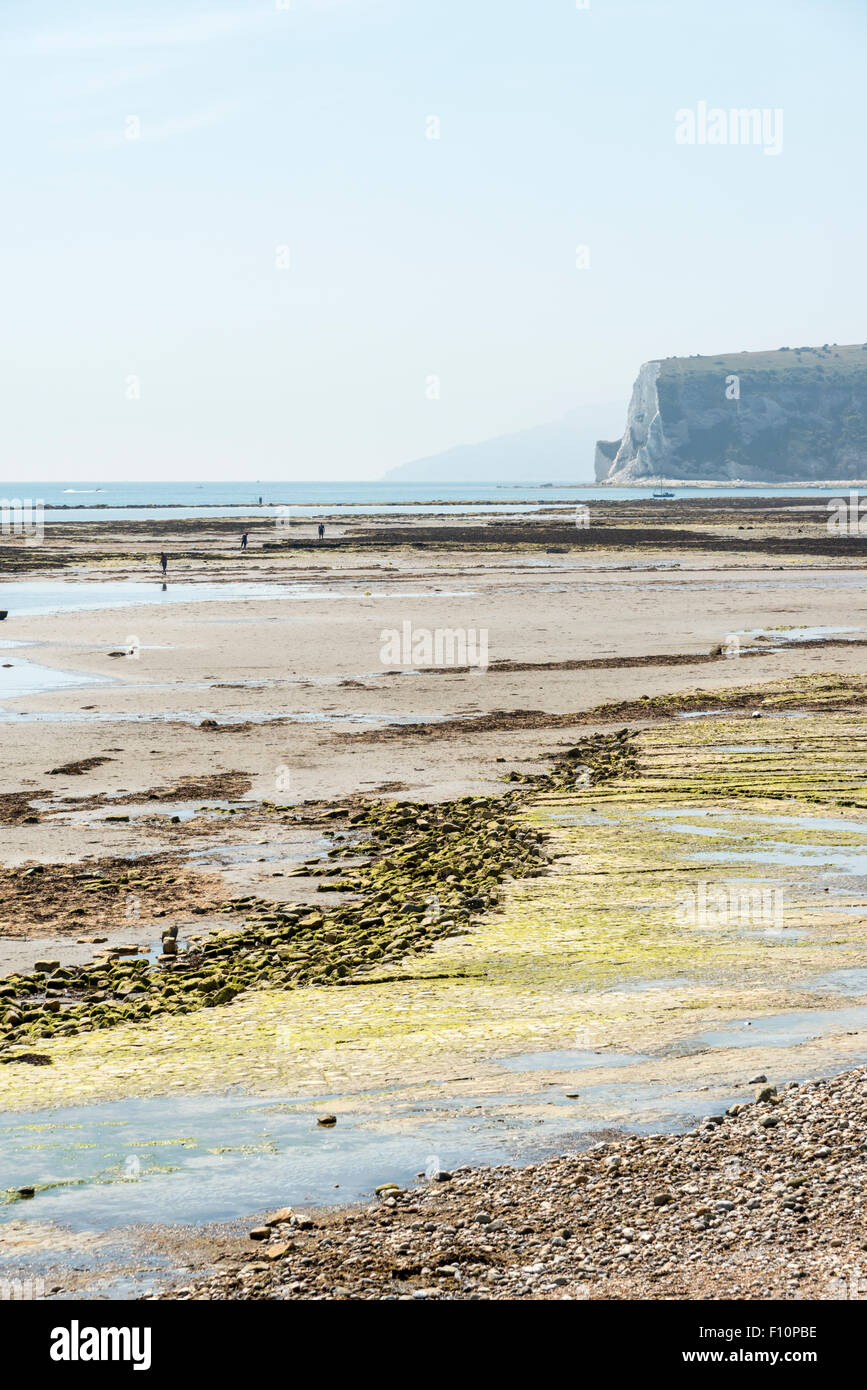 La riva del mare con la bassa marea a Bembridge Isle of Wight REGNO UNITO Foto Stock