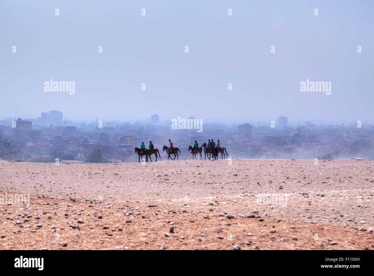 Passeggiate a cavallo nel deserto del Cairo, Egitto, Africa Foto Stock