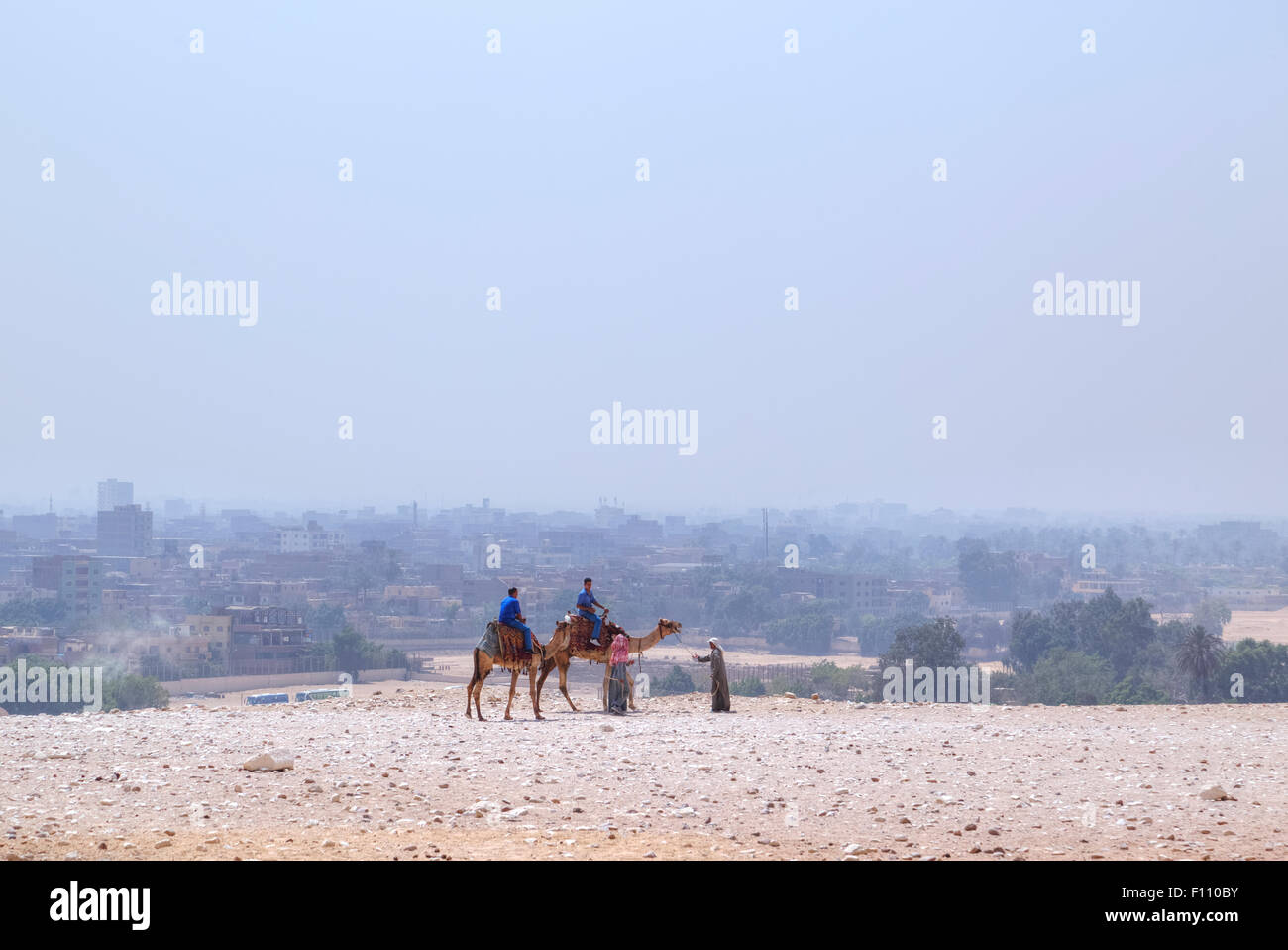 A dorso di cammello nel deserto del Cairo, Egitto, Africa Foto Stock