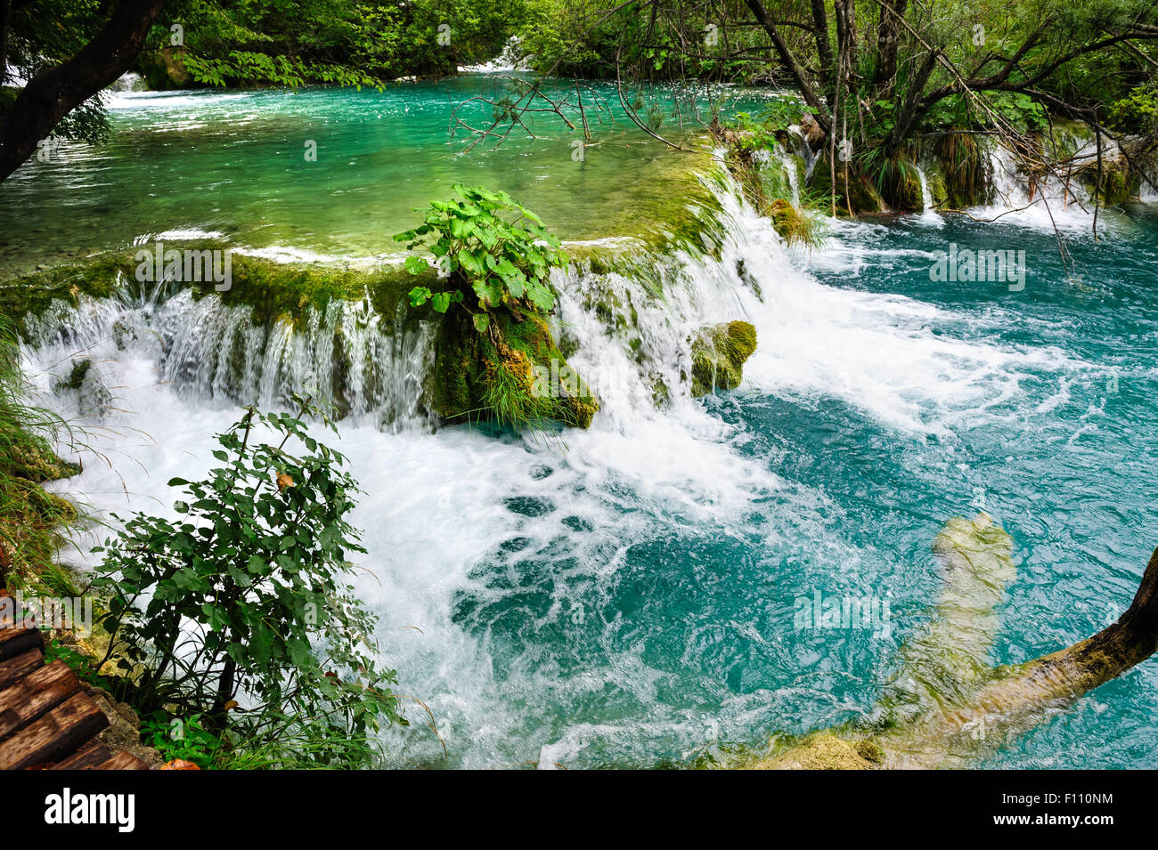 Cascate del Parco Nazionale dei Laghi di Plitvice, Croazia Foto Stock