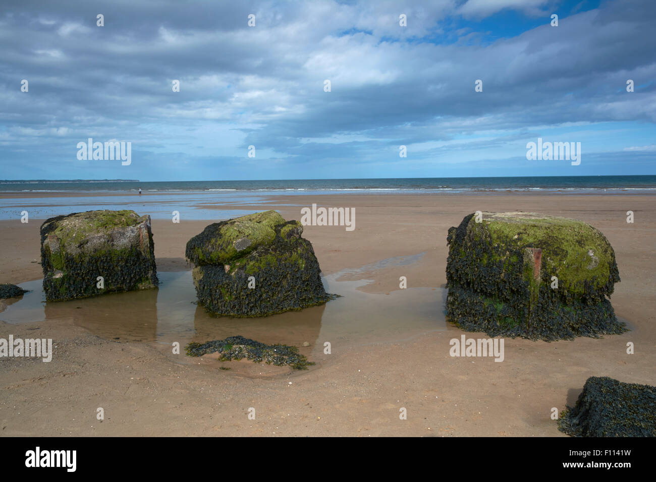 WW2 resti della difesa a Fraisethorpe spiaggia nei pressi di Bridlington, England, Regno Unito Foto Stock