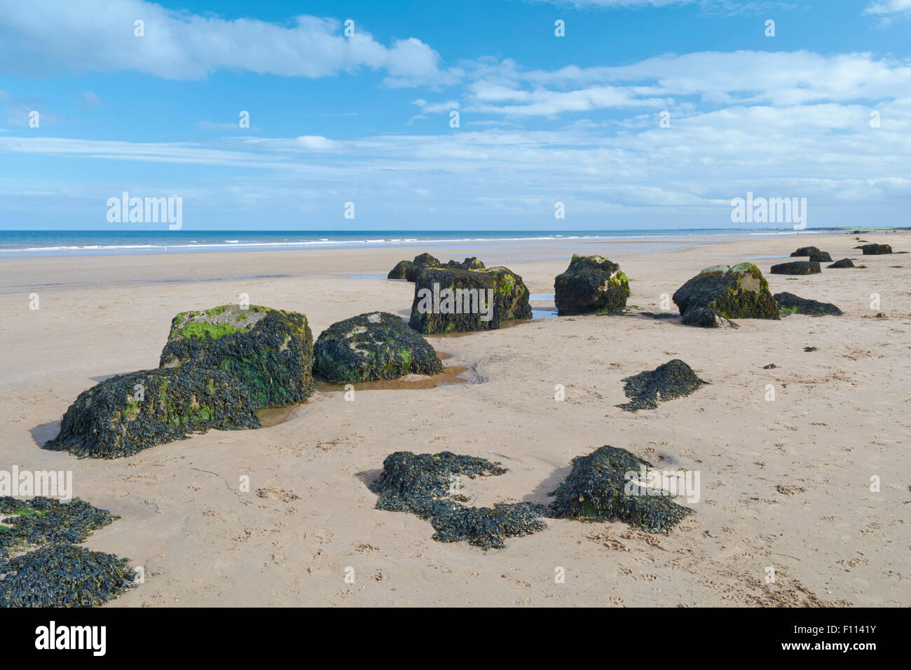 WW2 resti della difesa a Fraisethorpe spiaggia nei pressi di Bridlington, England, Regno Unito Foto Stock