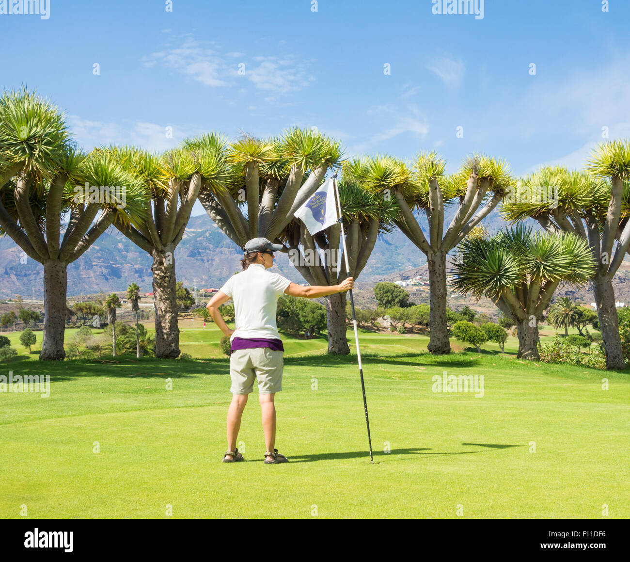 Real Club de Golf de las Palmas a Bandama vicino a Las Palmas di Gran Canaria Isole Canarie Spagna Foto Stock