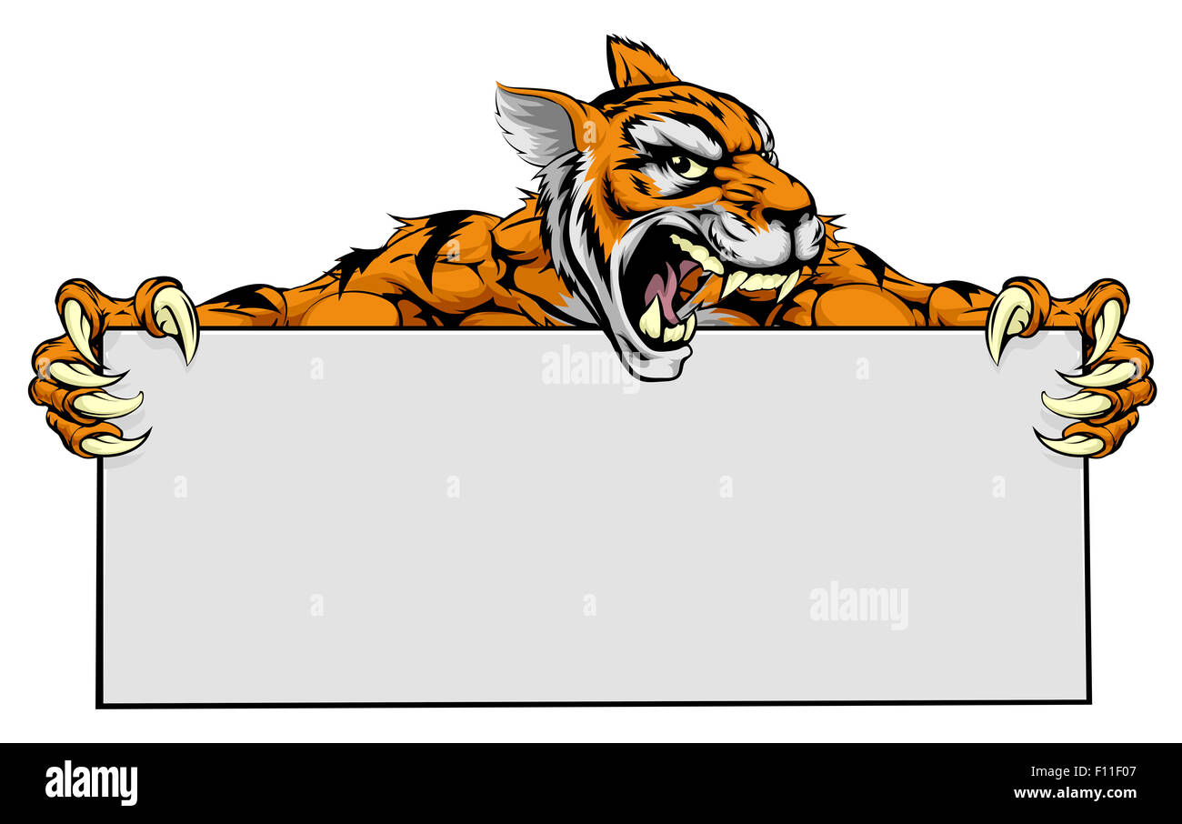 Un cartoon significa tiger sport mascot tenendo un grande cartello bianco con copyspace Foto Stock