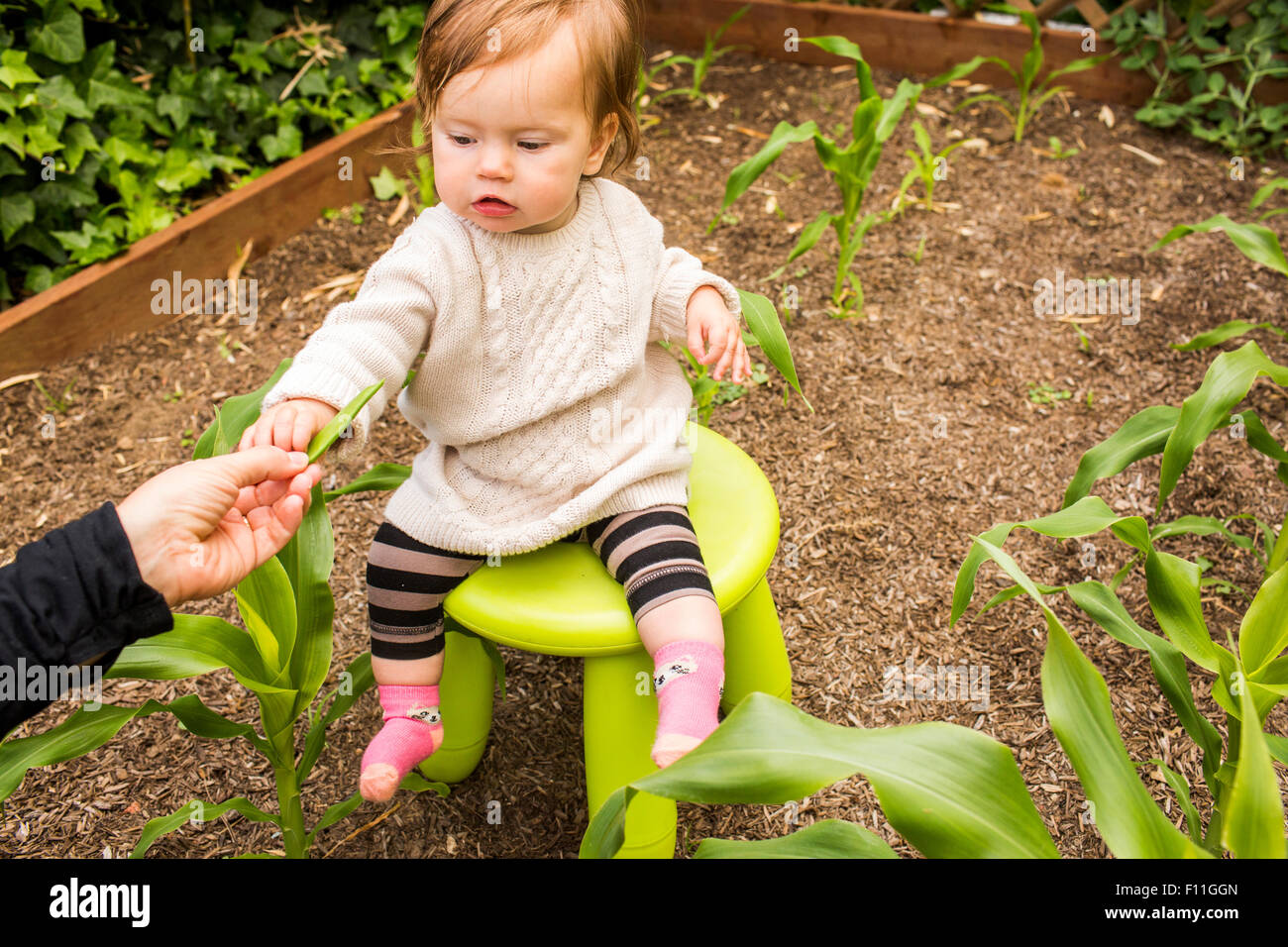 Madre caucasica dando origine vegetale per la figlia in giardino Foto Stock